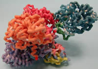 MCAD based on 1T9G.pdb, 1UDY.pdb and 2AIT.pdb