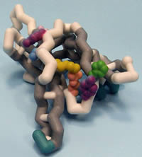 Protein Kinase C Delta-I C2 Domain based on 1BDY.pdb