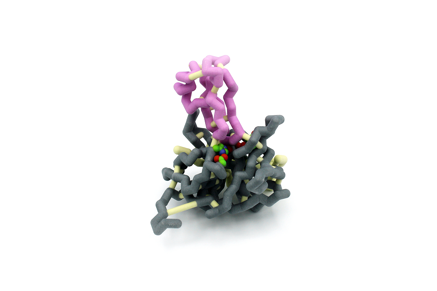 Physical model of Dengue virus protease