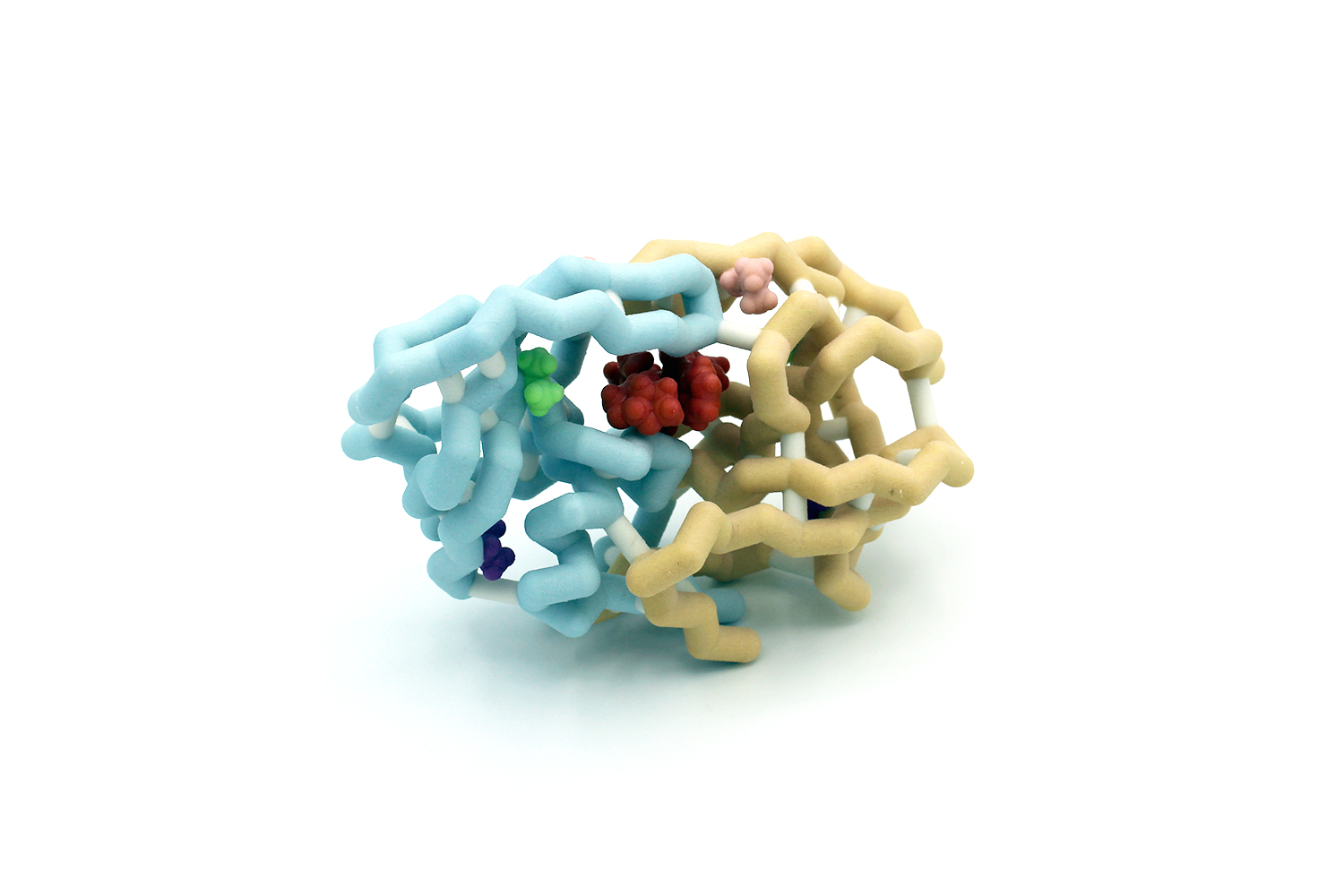 Physical model of HIV Protease
