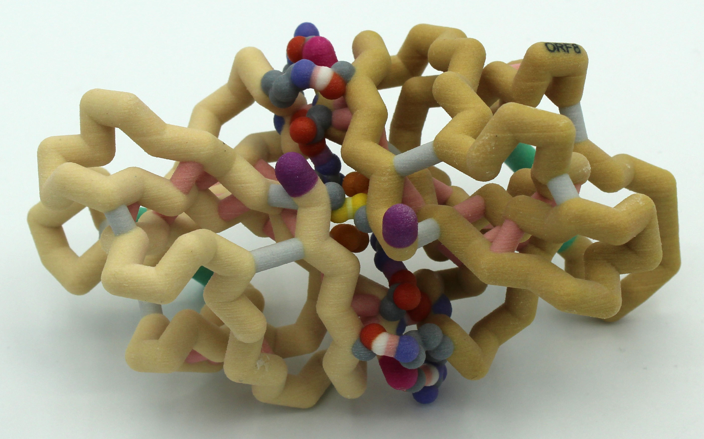 Physical model of SARS-CoV-2 ORF8 dimer
