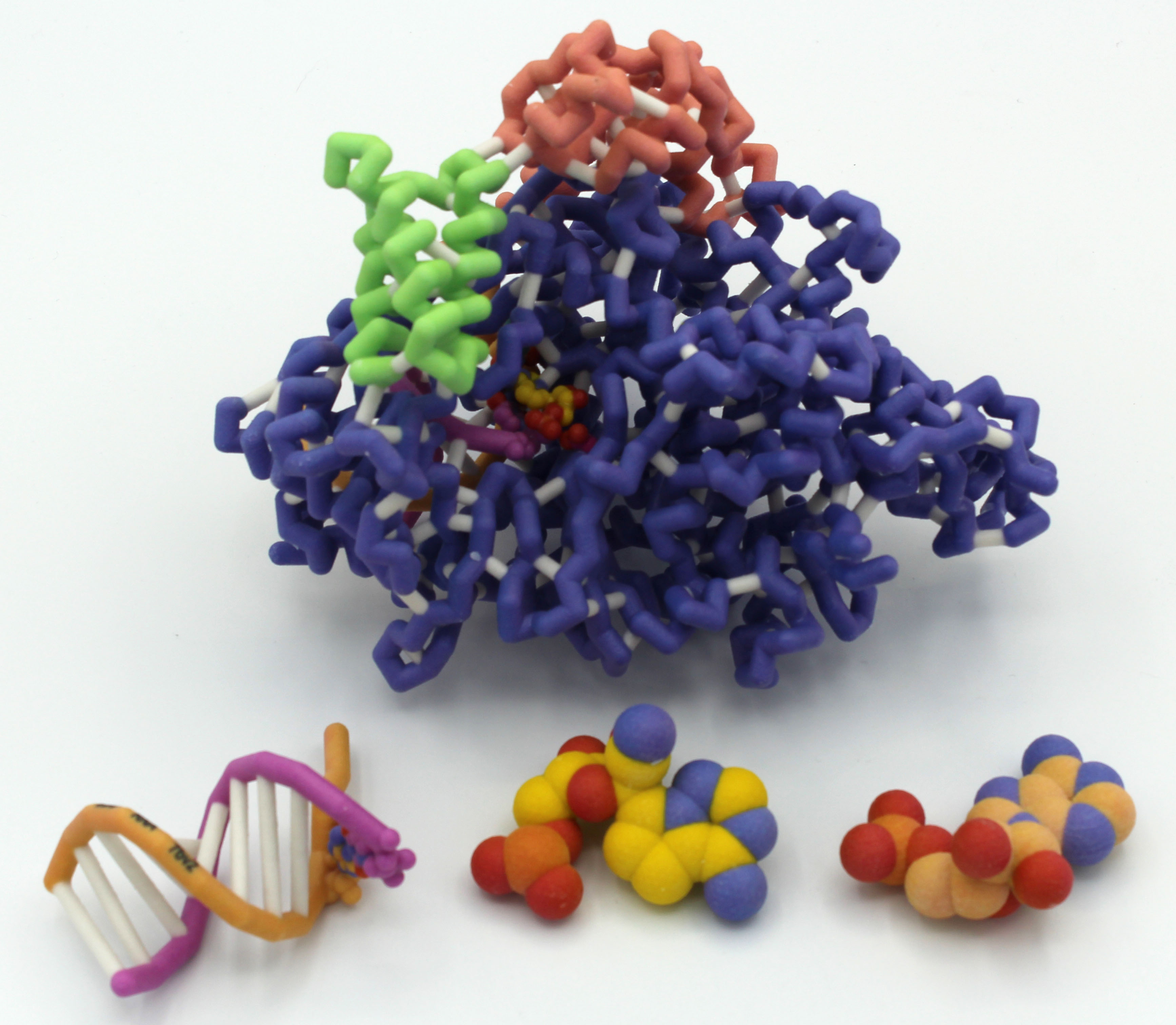 Physical models of (top) SARS-CoV-2 RNA-dependent RNA polymerase (RdRp), (bottom left to right)RNA, Remdesivir and adenine