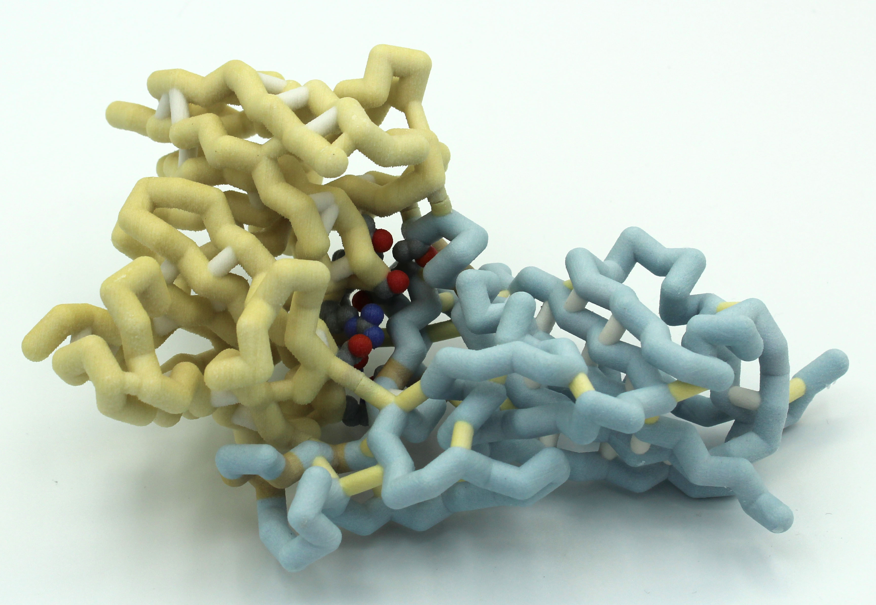Model of SARS-CoV1 with bound monoclonal antibody 80R